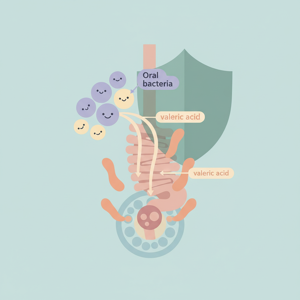 口腔内細菌が産生する「吉草酸」が食道がんを抑制——マイクロバイオームの抗腫瘍メカニズムを解明