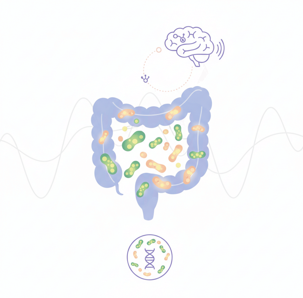 腸内細菌が映すパーキンソン病の「前兆」——発症前の遺伝リスク保有者にも共通する細菌叢の乱れを発見